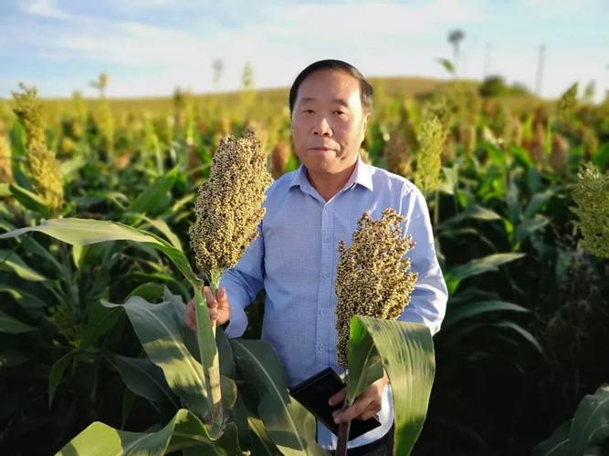 化肥用量纳入政绩考核 绿色农业的必然选择