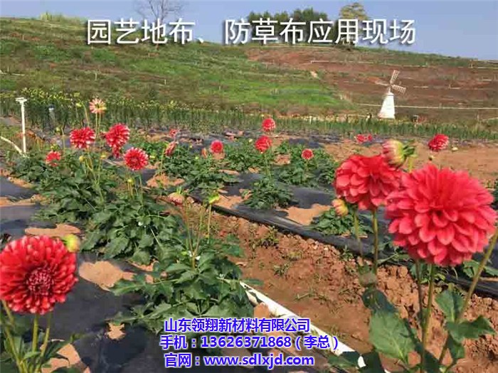 山东领翔果园防草布厂家价格及选购指南 | 其他建材分类